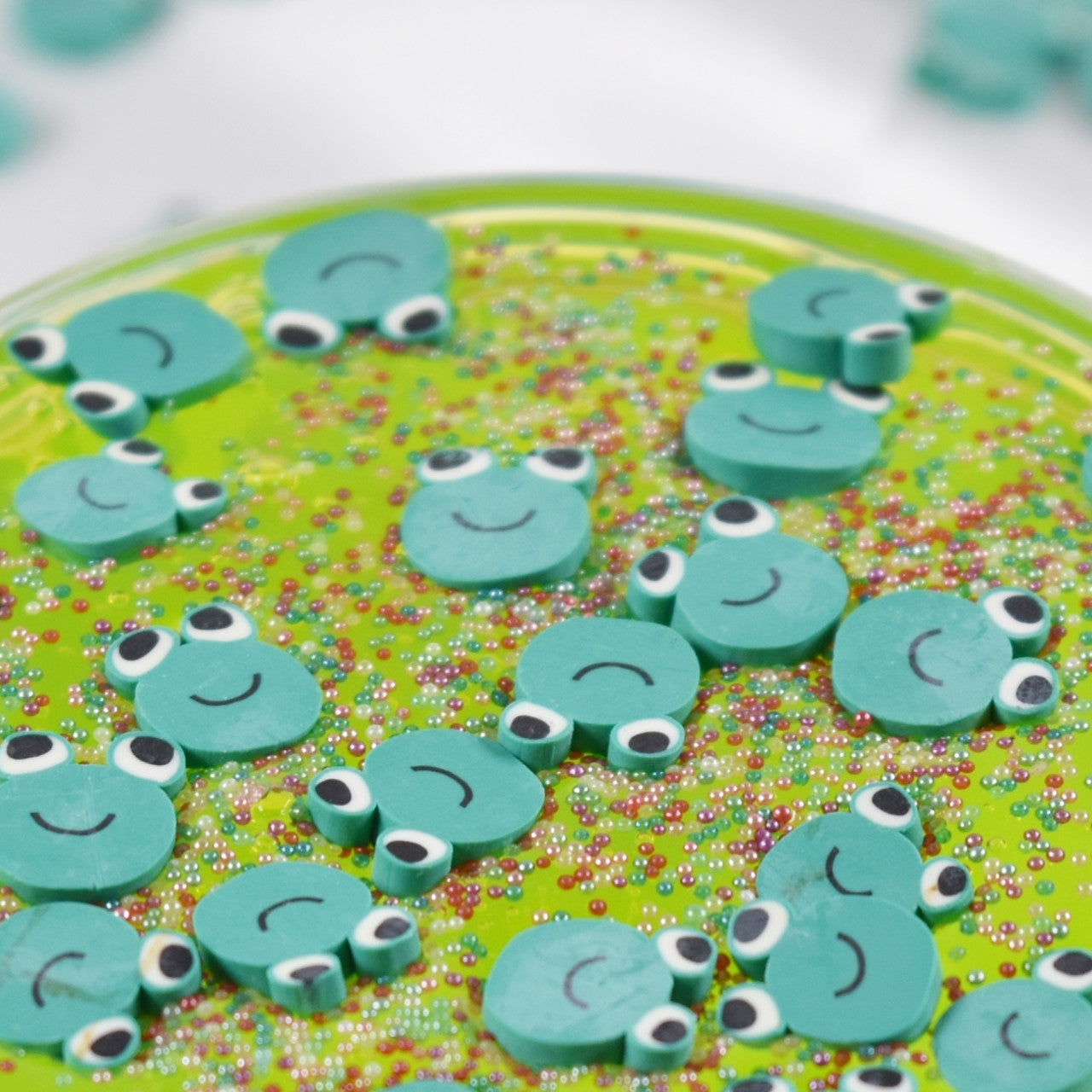 Frog Pool